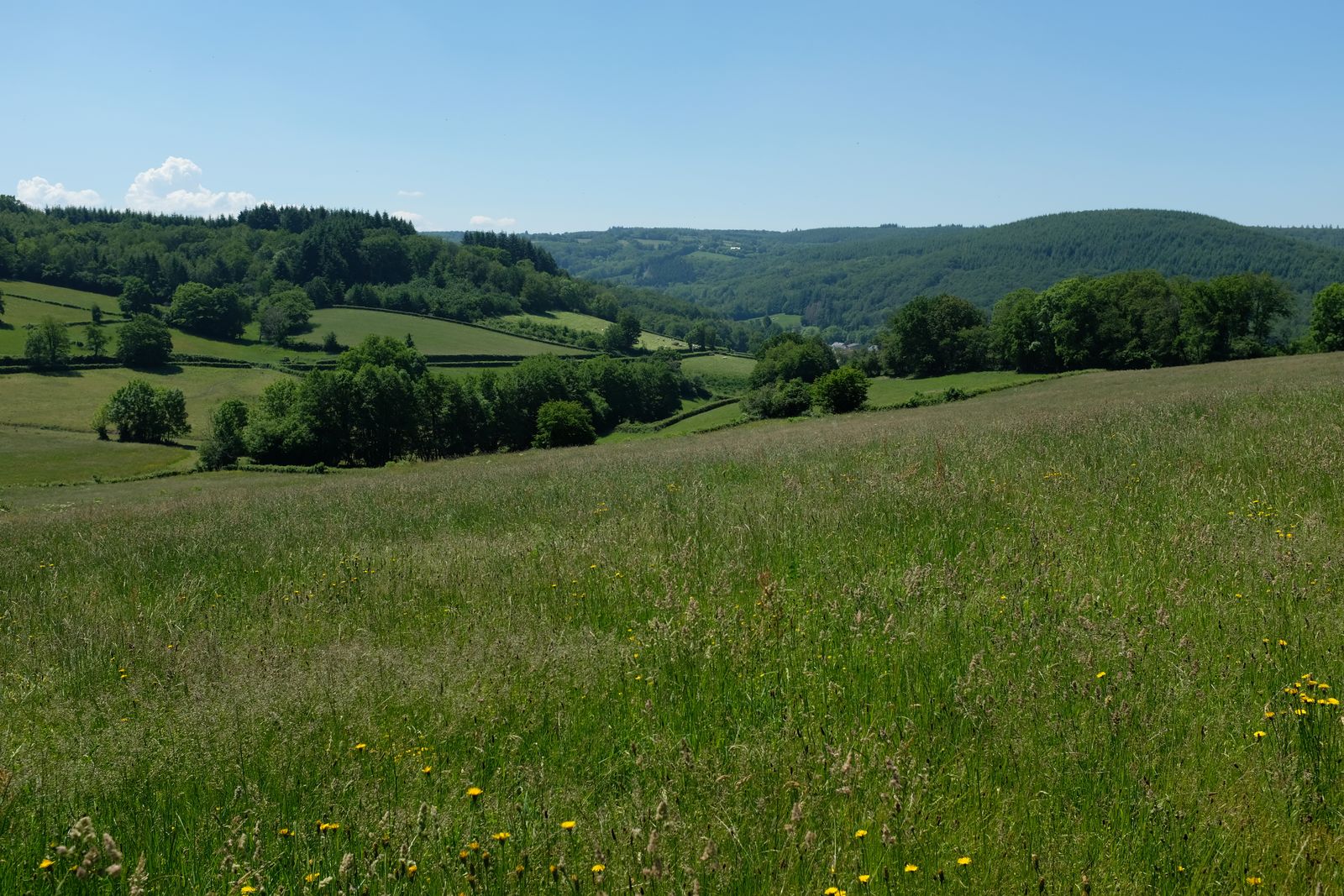 Paysage du Morvan